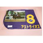 佐賀競馬場 実使用レースゼッケン