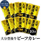 大分豊後牛ビーフカレー 10袋セット レトルト