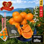 柑橘の大トロ せとか 約2kg