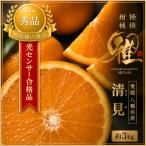 極撰柑橘 光センサー合格品 完熟 清見 3キロ
