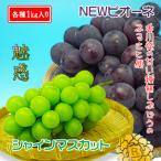 シャインマスカット1kg&amp;ニューピオーネ1kgの