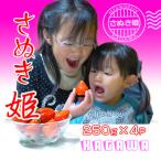 オリジナル品種 さぬき姫いちご4パック