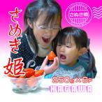 オリジナル品種 さぬき姫いちご6パック