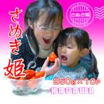 オリジナル品種 さぬき姫いちご10パック