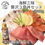 丼のたれ付 三昧贅沢3色丼セット 100g×3パック