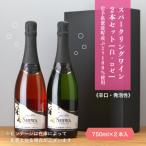 紫波スパークリングワイン2本セット 白