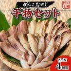 ふるさと納税 いすみ市 がんこおやじ 匠の干物セット