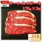 旭志牛サーロインステーキ170g×3枚