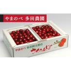 バラ詰 500g×2