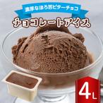 ふるさと納税 長沼町 長沼ジェラート チョコレートアイス 4L