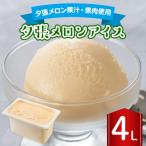 ショッピングふるさと納税 メロン ふるさと納税 長沼町 長沼ジェラート 夕張メロンアイス 4L