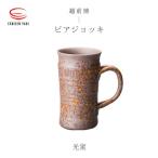 光窯 司辻光男 ビアジョッキ