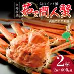 京丹後産 活間人蟹 中 鮮度抜群 活きたままお届け