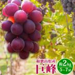 紀州和歌山産の巨峰ぶどう約2kg