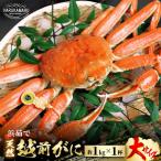 大サイズ 約1kg