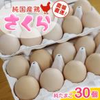 純 鶏 純たまご 30個入り AJ031 鶏卵 食べ比べセット