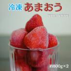 ふるさと納税 赤村 福岡ブランドあまおう【訳あり】冷凍いちご1600g(赤村)