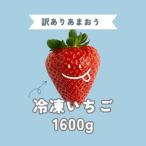 ふるさと納税 大川市 福岡ブランドあまおう【訳あり】冷凍いちご1600g(大川市)