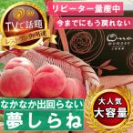 ふるさと納税 山梨市 【全国桃グランプリ金賞夢しらね】滅多にお目にかかれない5年連続TV出演話題ブランド2026年7月下旬