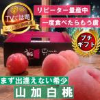 fu.... налог Yamanashi город [ сначала ... нет . товар высокий гора . белый персик ] популярный товар вид указание подарок 5 год продолжение TV выступление тема бренд 2026 год 7 месяц последняя декада ~