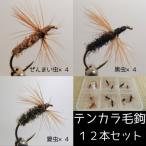 テンカラ毛鉤 3種類×4本セット ケース入り