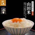 雪解け水で栽培した圧倒的な美味しさ 玄米5kg
