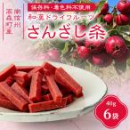 和漢ドライフルーツ さんざし条 40g×6袋