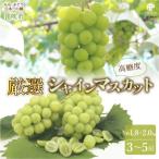 厳選 シャインマスカット含む3色セット 約1.8kg