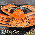 地物 はるか丸が厳選した越前がに 1杯