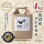 ふるさと納税 十日町�