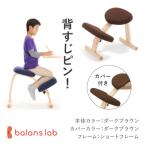 バランスイージー ショートフレーム カバー付き