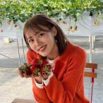 ふるさと納税 知立市 いちご狩り　招待券　お土産付き(2026年5月13日〜5月31日まで)