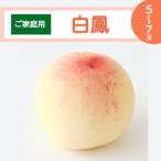 ふるさと納税 井原市 【ご家庭用】岡山白桃 白鳳 5〜7玉(2025年7月上旬頃から順次発送予定)