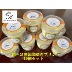 和三盆無添加コテツプリン10個セット