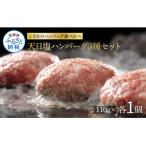 食べ比べ 黒毛和牛と美鮮豚の天日塩ハンバーグ3種セット各1…