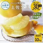 石元農園の土佐文旦 大玉 3L