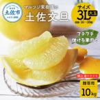 嬉龍の土佐文旦 2 3Lサイズ 約10kg〈2027年1月中旬