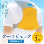 暑さ 熱中症対策グッズ クールリュック1枚