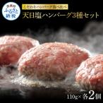 食べ比べ黒毛和牛と美鮮豚の天日塩ハンバーグ3種セット各2…