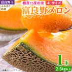 ふるさと納税 富良野市 2026年先行予約 糖度15度前後 富良野メロン 4Lサイズ(2.5kg以上) 1玉入り