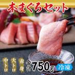 絶品 本マグロ セット 大トロ 250g