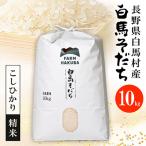 白馬そだち お米 こしひかり10kg 精米