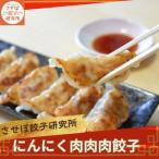 〈させぼ餃子研究所〉にんにく肉肉肉餃子 計96個