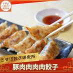 〈させぼ餃子研究所〉博多屋台の肉汁餃子 計96個
