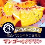 ふるさと納税 山梨市 【全国的に出回らない希少桃】マンゴーネクタリンやみつきリピーター続出中2026年7月中旬より発送