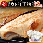 訳あり カレイ一夜干し 2kg
