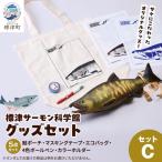 ふるさと納税 標津町 標津サーモン科学館グッズセットC　鮭ポーチ エコバッグ ボールペン マスキングテープ ファイル
