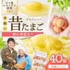 ばあちゃんの昔たまご 10個入り×4パック