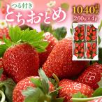 つる付きとちおとめ260g×4パック
