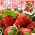 ふるさと納税 鹿沼市 つる付きとちおとめ260g×2パック(1月中旬〜1月下旬発送)